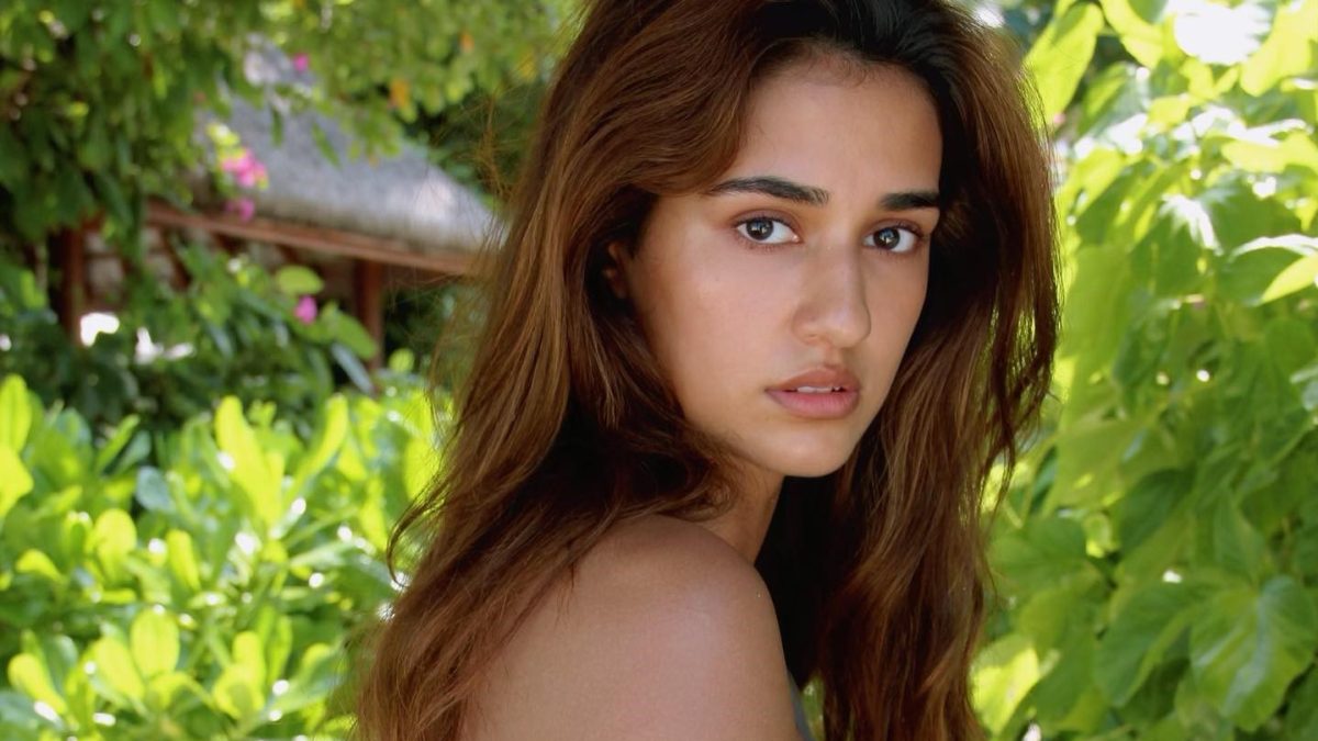 Trolls Have A Field Day As Disha Patani Wears CK's Tee Instead Of