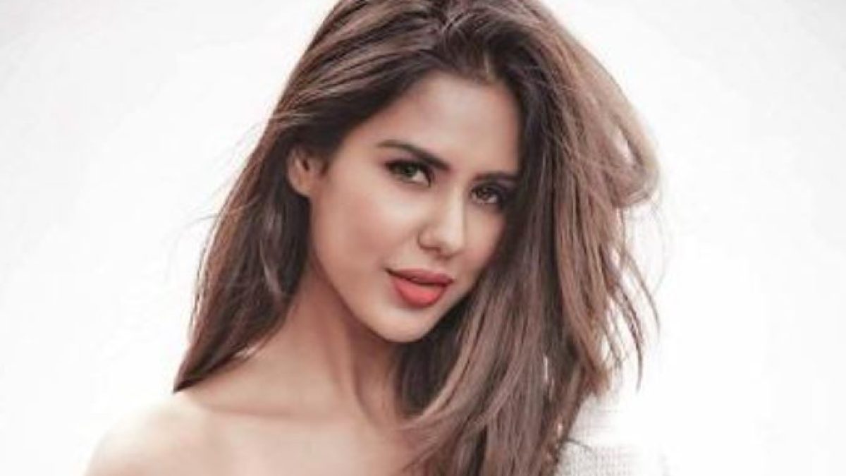 Punjabi Heroine Sonam Bajwa Xxxx - Punjabi actress Sonam Bajwa wore swimsuit in a unique way, se*xy look  captured in camera - informalnewz