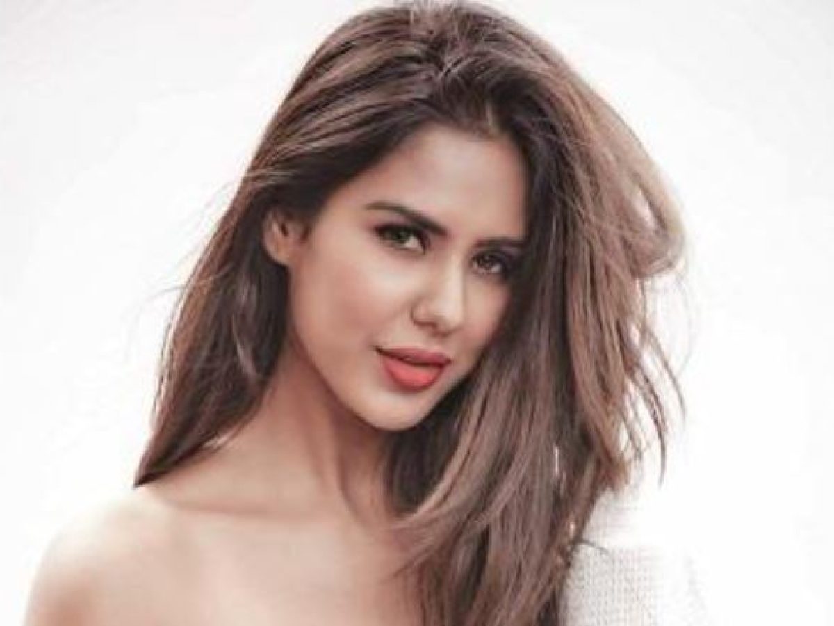 Sonam Bajwa Can Do Absolutely No Wrong In An Edgy Brown Leather