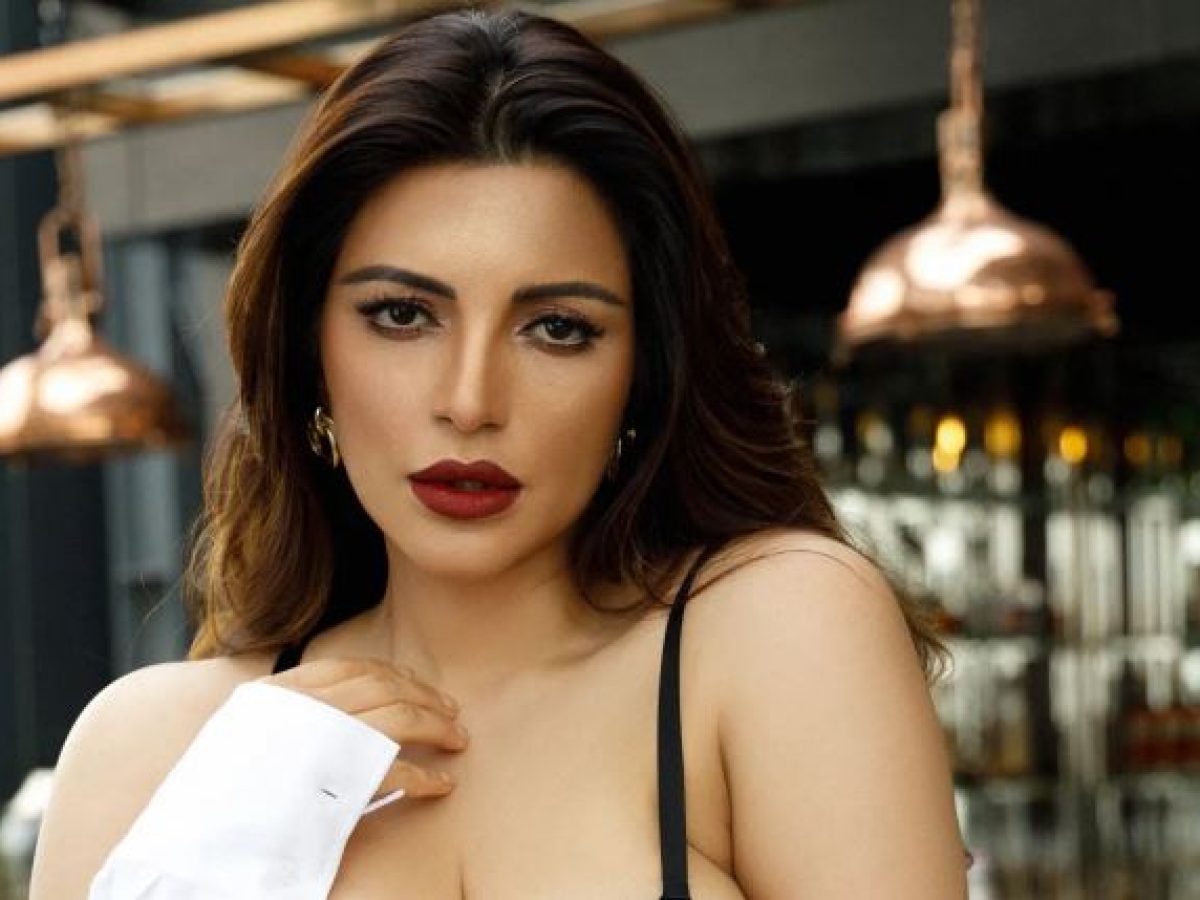 TV Bahu Shama Sikander Goes Besharam Rang In Sultry Saree, Bold Blouse -  The Hills Times