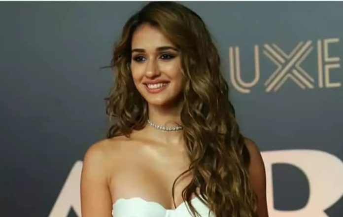 Disha Patni showed her beautiful figure wearing a deep-neck tight fitting dress, seeing the pictures created panic on the internet