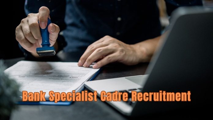 Bank Job: Great opportunity! IDBI Bank Specialist Cadre Recruitment, view notification