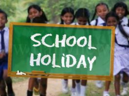 School Holiday Calendar 2025: Schools will remain closed for 55 days in UP and 72 days in Bihar, 2025 calendar released