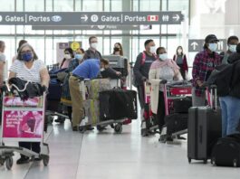 Airport Rules: Now you can carry this much cash in the plane while traveling, check the cash limit before traveling