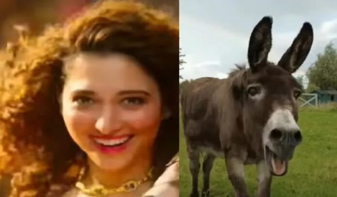 Donkey dances on Tamannaah Bhatia's song ' Kaavaalaa', can't stop laughing after watching the video