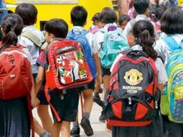 School Holidays: Schools will remain closed for this many days in December, order issued