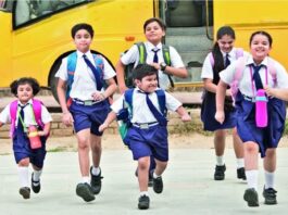 School Holiday 2024: 6 days winter holiday declared in all private and government schools, order issued