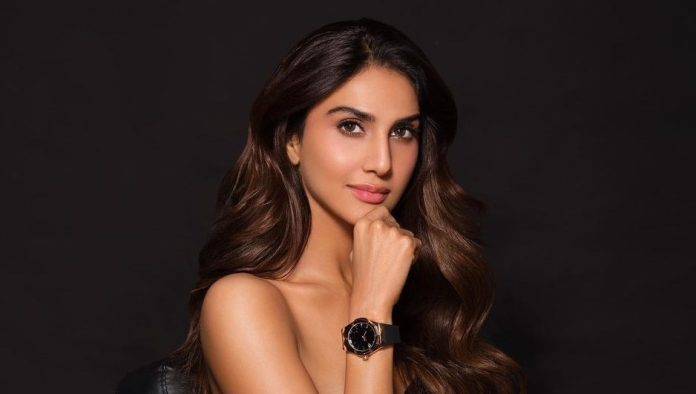 Vaani Kapoor bold pose in transparent gown, eyes fixed on her hot avatar