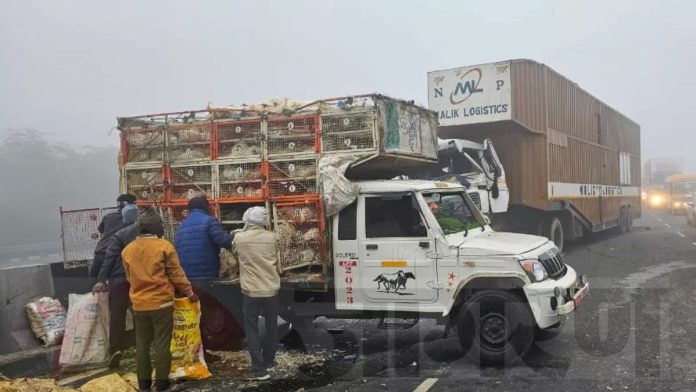 Video of people looting chickens from pickup vehicle and carrying them away in sacks goes viral, watch the video