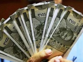 LIC Special Scheme: Invest Rs 45 daily and get Rs 25 lakh on maturity, check scheme details here