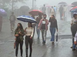 Rainfall Alert: IMD issued an alert of hailstorm along with torrential rain, know the latest weather update