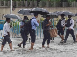 IMD Rain Alert: There will be heavy rain in these states amidst severe cold, IMD issued alert