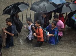 IMD Rain Alert: Rain alert with thunderstorm in these states including Delhi-UP-Bihar