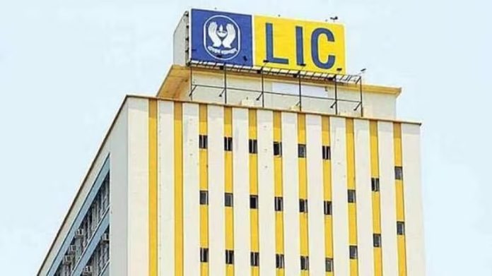 LIC Special Plan: You will get cover of Rs 50 lakh for just Rs 5000, check scheme details