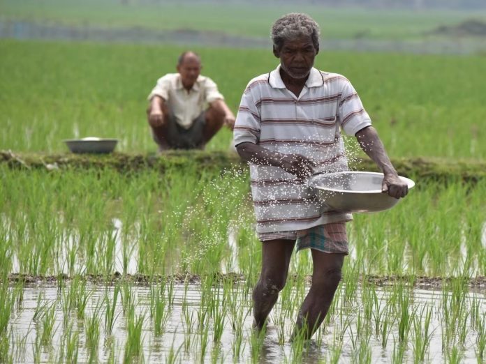 Loan waiver: Farmers loan up to Rs 2 lakh waived, this state government made a big announcement