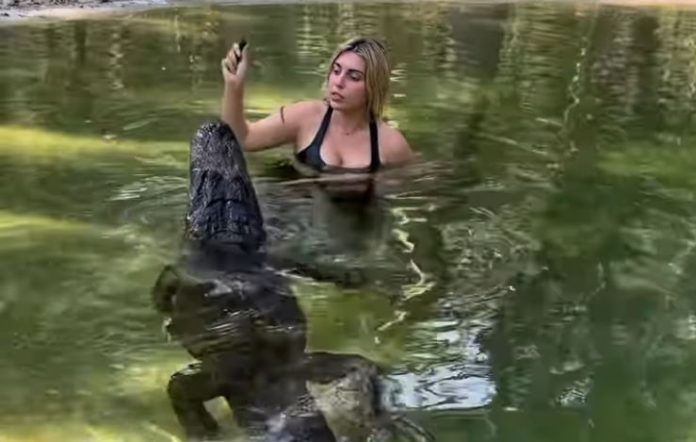 Crocodile Video: Woman enters pond and feeds crocodile with her hand, dangerous video goes viral