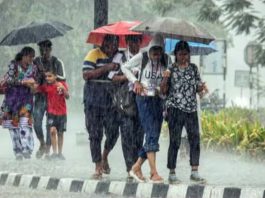 Rainfall Alert: Rain alert today in entire North India including Delhi-NCR, severe cold will knock