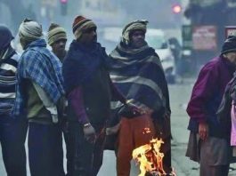 Weather Update: Entire North India including UP-Delhi will experience severe cold on this day, IMD alert issued