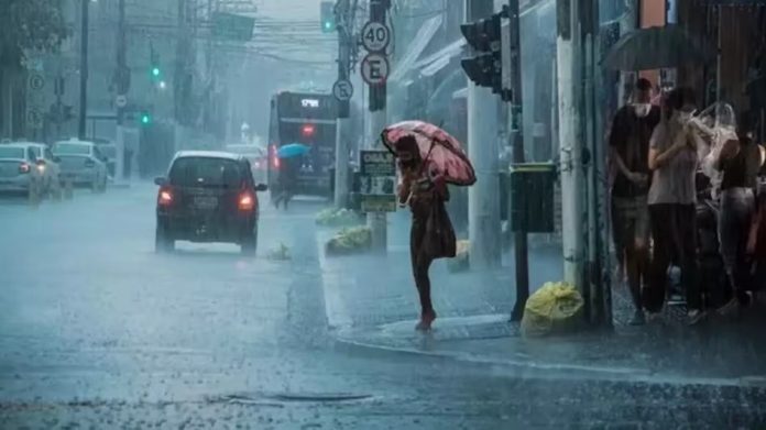 IMD Rainfall alert: There will be heavy rain in these states till October 25, Meteorological Department has issued yellow alert