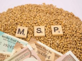 MSP Rate Hike: Good news for farmers! Government increased MSP on 6 crops including wheat and gram