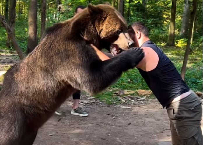 Viral Video: Boxer seen wrestling with a bear, people got scared after watching it