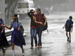 IMD Rain Alert: Alert issued for severe heavy rain till December 2, warning of dense fog also