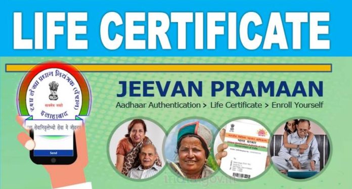 Life Certificate: Pensioners can submit Life Certificate through doorstep service of post office, pensioners should understand the whole process