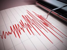 Earthquake of 5.3 magnitude hits Telangana, tremors felt in parts of Andhra Pradesh too