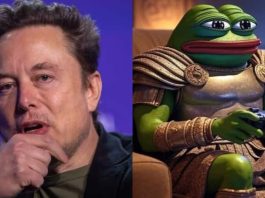 Elon Musk changed his name, Kekius Maximus became X, know its meaning