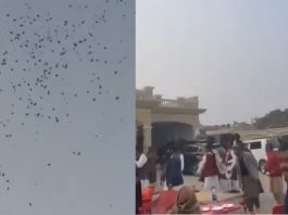 Pakistan wedding video: Groom's father showers money on bride's house from plane - Watch