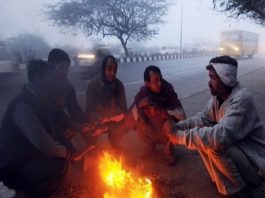 Weather Update: North India will soon experience severe cold, IMD told when the weather will change