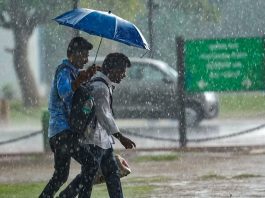 Delhi NCR Weather: Rain warning with thunderstorm in Delhi-NCR, Meteorological Department issued yellow alert