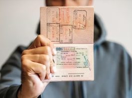 Indian passport holders: Good news! This country has started a new e-visa system for Indians, check complete details here