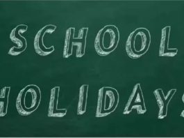 School Holidays: Schools will remain closed for this many more days till 8th, timings of 9th to 12th changed, order issued