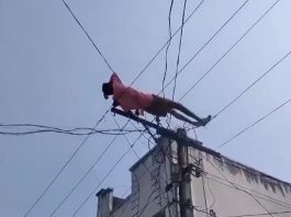 Viral video: Video of drunk man lying on electric wires goes viral