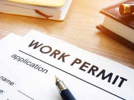 Work Permit You can work in this country even without a work permit, on what conditions do you get entry into the country