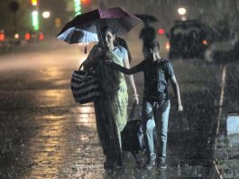 Rainfall Alert: There will be heavy rain in these 13 states till 20th February, IMD issued alert