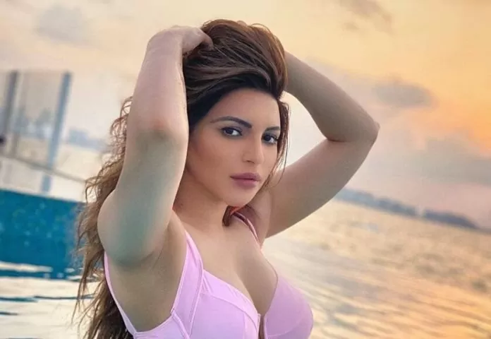 Shama Sikander shares bossy look in front open blazer without bra, shows bo*ldness at the age of 41