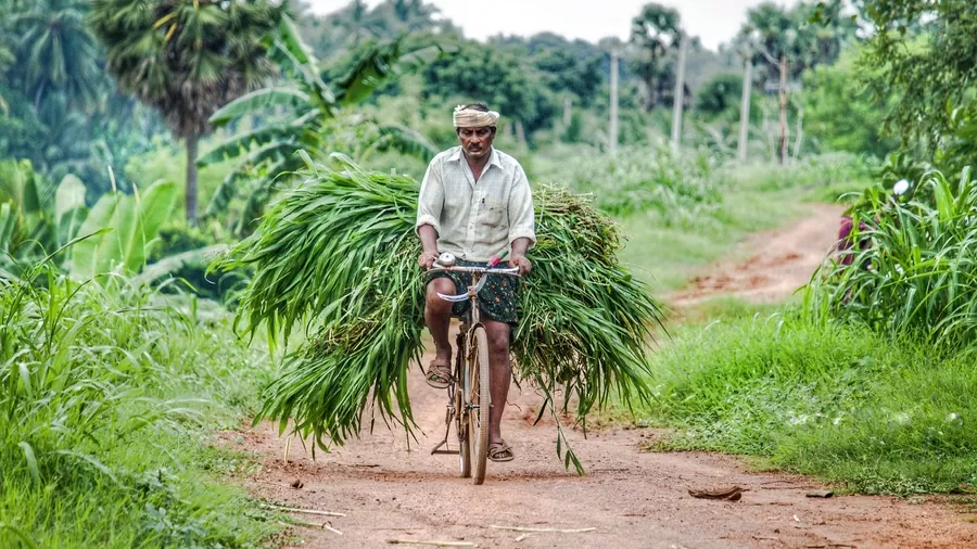 Government scheme: Big news for farmers! Now PM-Kisan beneficiaries should apply for Rs 12,000 annually