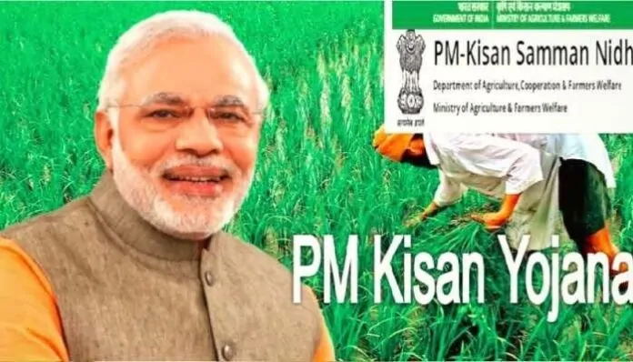 PM Kisan: 19th installment of PM Kisan will come in February 2025? know here how you can apply