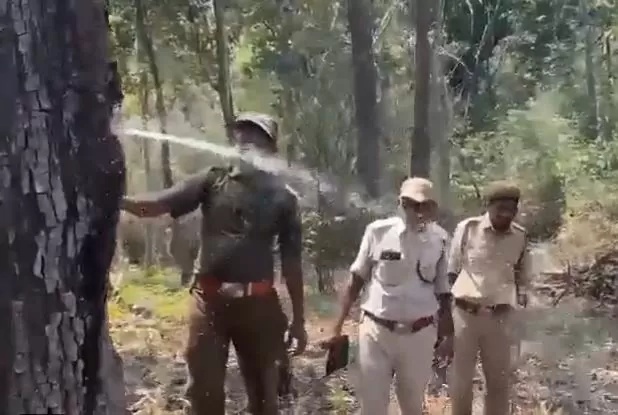 Viral Video: You will be surprised to see a stream of water gushing from a tree in the forest, watch the video.